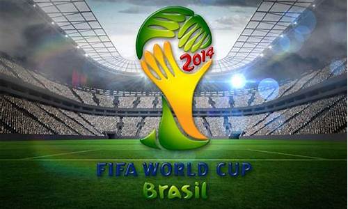 2014年巴西世界杯 门票_2014年巴
