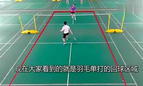 羽毛球的比赛规则有哪些形式_羽毛球的比赛